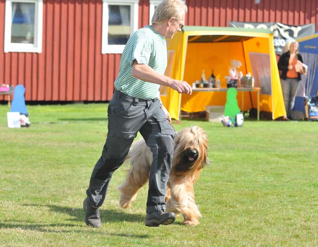 Cody och Seved i ringen